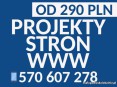 Wyjątkowe strony internetowe od 290 PLN - zapoznaj się z naszą ofertą