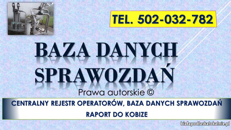 4_baza_danych_sprawozdan_sprawozdanie.jpg