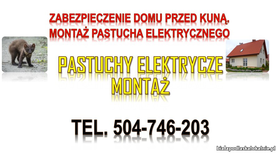 4_ochrona_przed_kuna_pastuch_elektryczny.jpg