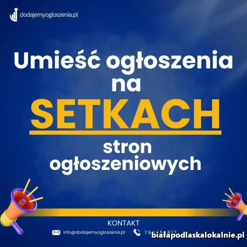 Umieść ogłoszenia na setkach portali - Efektywna reklama Twojego biznesu