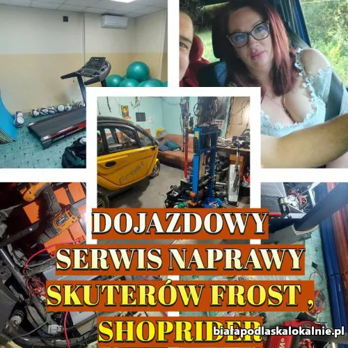 Dojazdowy Serwis Naprawy Skuterów Shoprider, Frost i inne