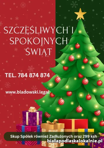 Skup Spółek Również Zadłużonych oraz 299 ksh