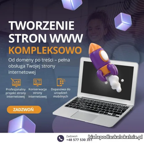 projektowanie_stron_www.webp