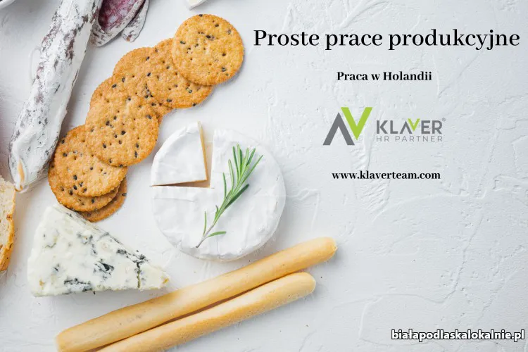 Prace produkcyjne w Holandii - praca dla każdego- od zaraz!